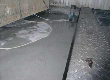 冷却塔下部水槽　清掃前